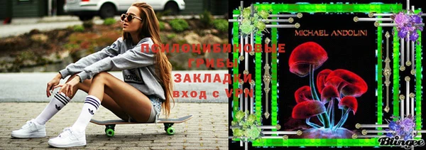 крисы Ладушкин